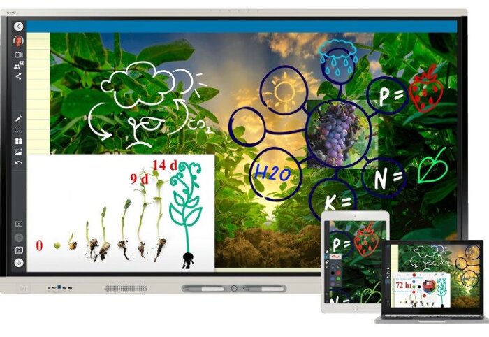 Интерактивный дисплей Smart Board MX275-V4