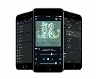 BlueSound Node 2i Black сетевой плеер