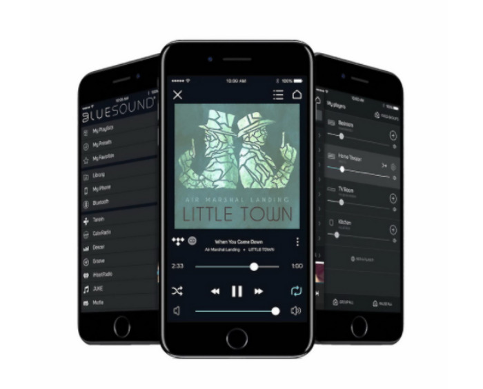 BlueSound Node 2i Black сетевой плеер