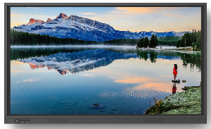 NewLine TT-6519RS интерактивный дисплей
