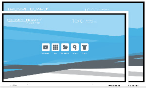 Triumph Board 65 интерактивный дисплей