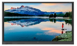 Интерактивный дисплей Newline Trutouch TT-7519RS